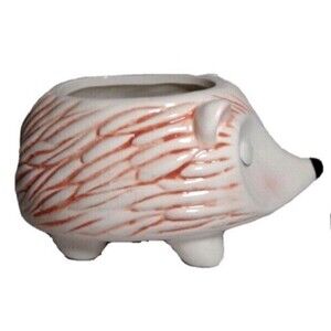 Hedgehog Planter Pot Ceramic White Pink Animal 6-in Garden Sponge Holder Gift